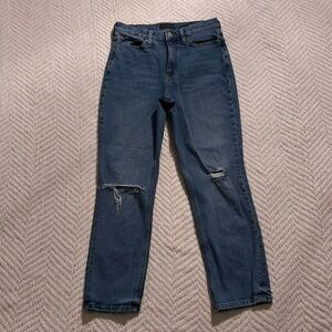 Banana Republic Premium Denim Jeans in Blue